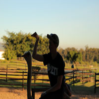 man in shadows posing with ostrich