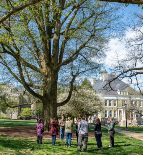 Sustainability workshop on campus