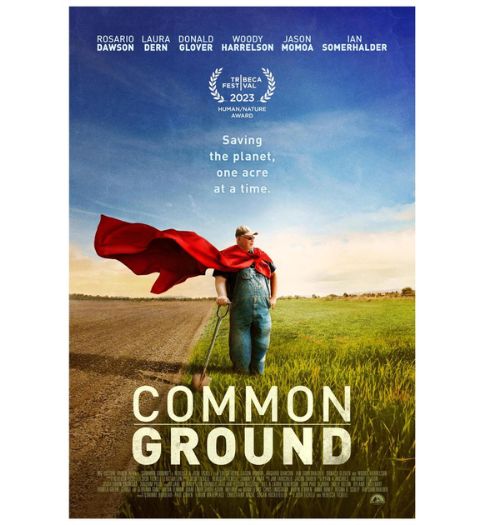 Common Ground Move Poster