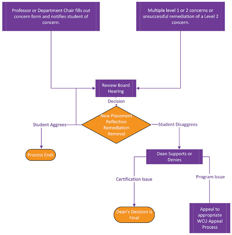 Areas of Significant Concern Summary Chart