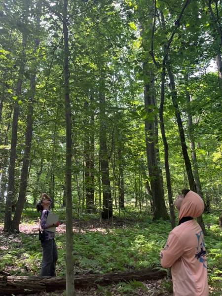 Dr. Schedlbauer (right) and student Nick Baffa (left) determining the severity of BLD infection in an American Beech at the Gordon Dr. Schedlbauer (right) and student Nick Baffa (left) determining the severity of BLD infection in an American Beech at the Gordon