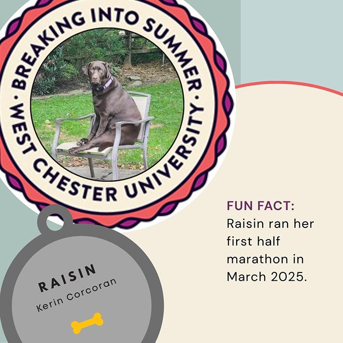 WCU Employee's Dog - Raisin