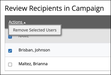 Review Recipients in Campaign