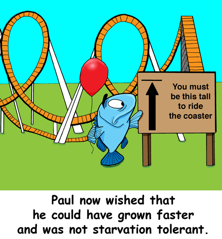 Paul now wished that he could have grown faster and was not starvation tolerant.