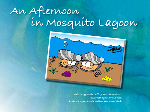 An afternoon in mosquito lagoon