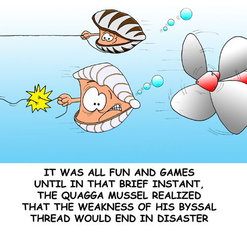 It was all fun and games until that brief instant, the quagga mussel realized that the weakness of his byssal thread would end in disaster.