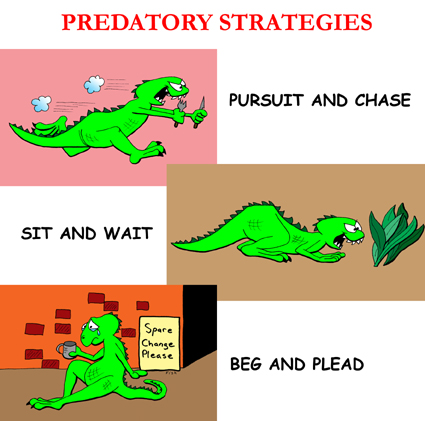 Predatory Strategies