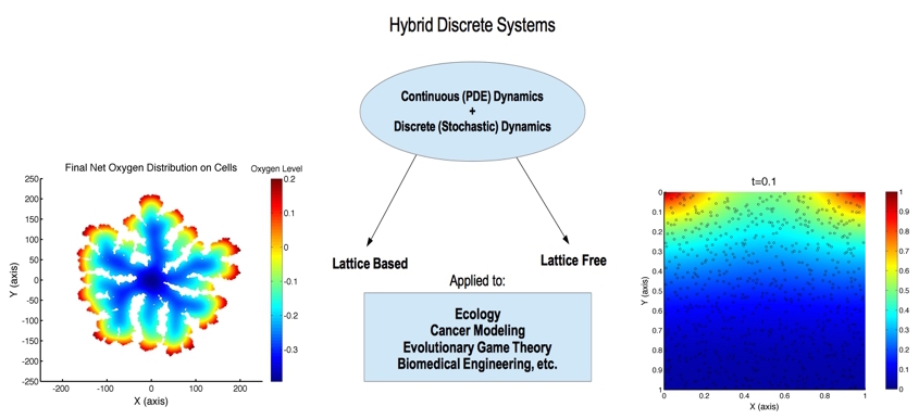 Hybrid Discrete Systems Graphs