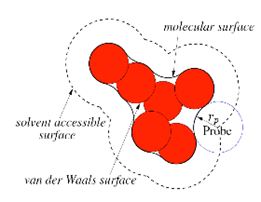 The molecular surface (MS) is defined by rolling a probe sphere, which mimics the water molecule, around the Van der Waals (VdW) atoms of a protein
