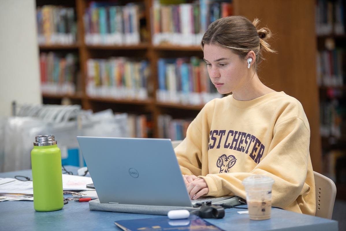 2 students studying in the library